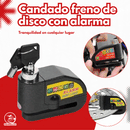 🔐 AlarmLock Pro 110™