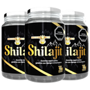 Shilajit Gomitas - Energía y Vitalidad
